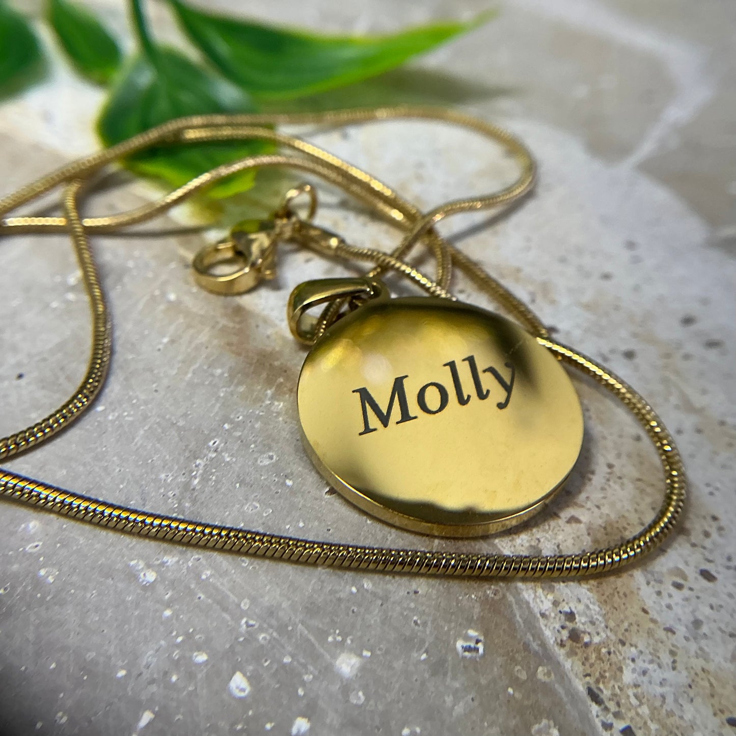 Pawprint Engraved - Circle Pendant Necklace | Pet Keepsakes